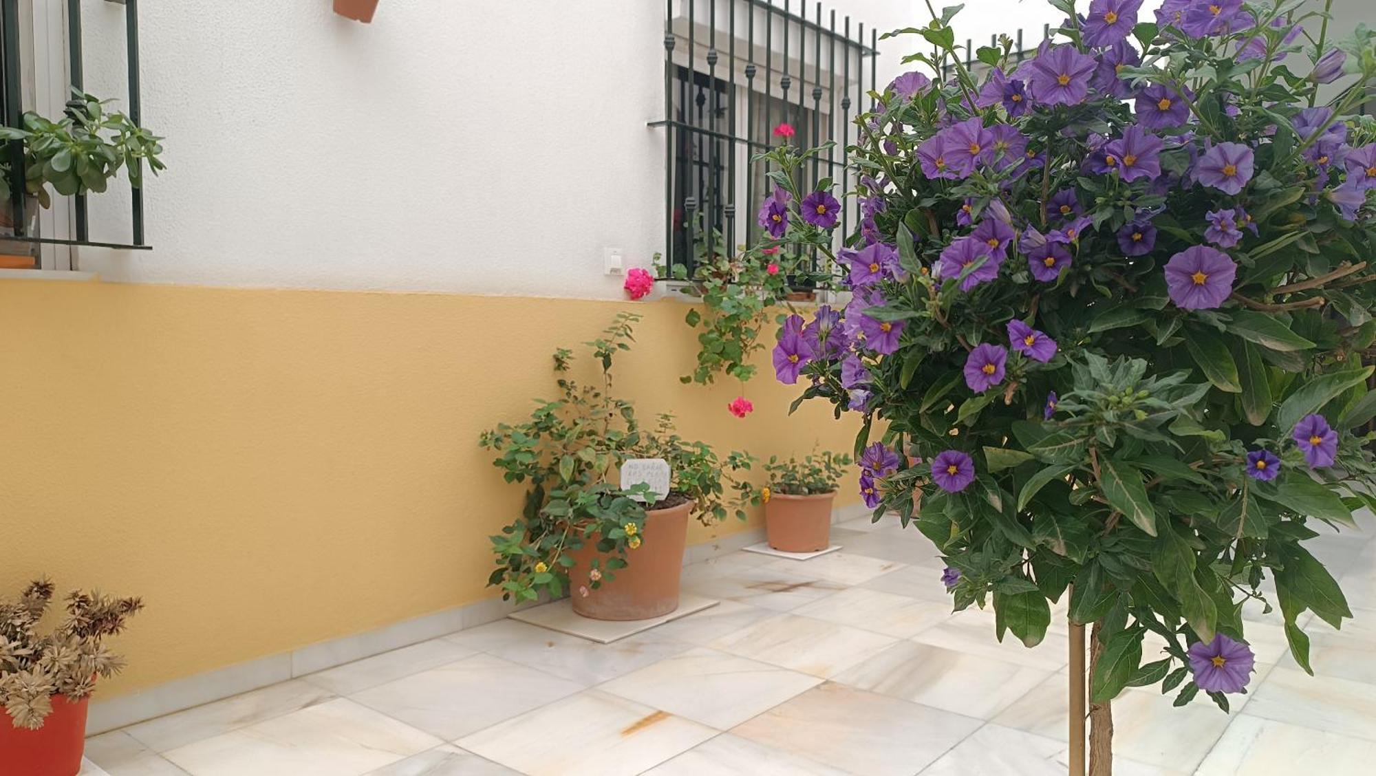 Appartement Sherryflat Fontana Jerez de la Frontera